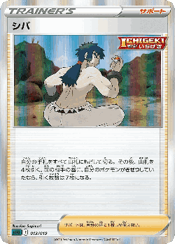 Bruno Pokémon TCG card art
