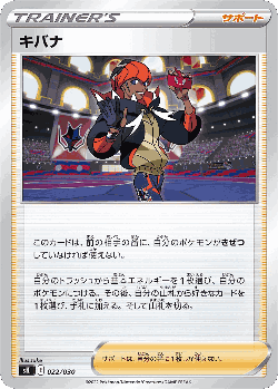 Raihan Pokémon TCG card art