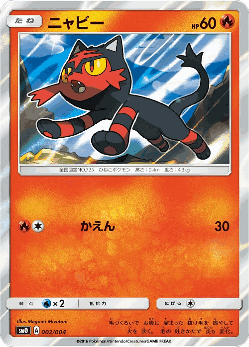Litten 2, Pikachu's New Friends