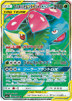 Venusaur & Snivy-GX 65, Remix Bout