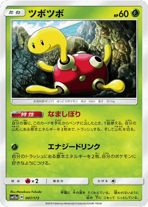 Shuckle Pokémon TCG card art
