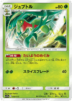 Grovyle Pokémon TCG card art