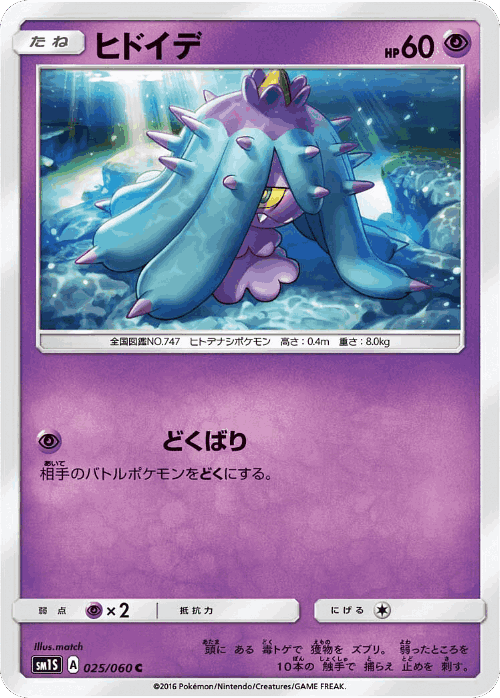 Mareanie 25, Collection Sun