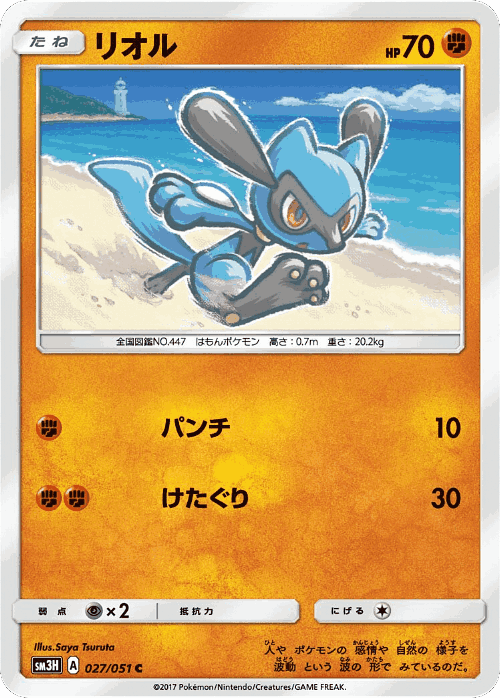 Riolu 27, To Have Seen the Battle Rainbow