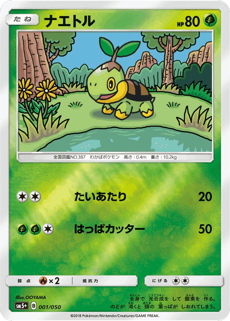 Turtwig #1 from Ultra Force - Illustrated by OOYAMA