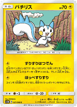 Pachirisu Pokémon TCG card art