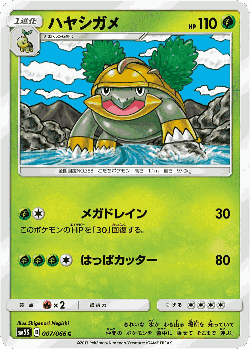 Grotle Pokémon TCG card art