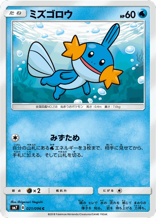 Mudkip Pokémon TCG card art