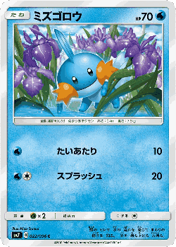 Mudkip Pokémon TCG card art