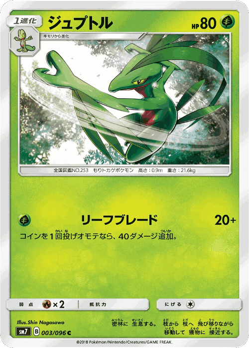Grovyle Pokémon TCG card art