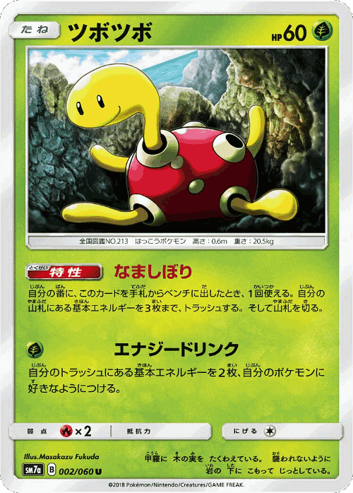 Shuckle Pokémon TCG card art