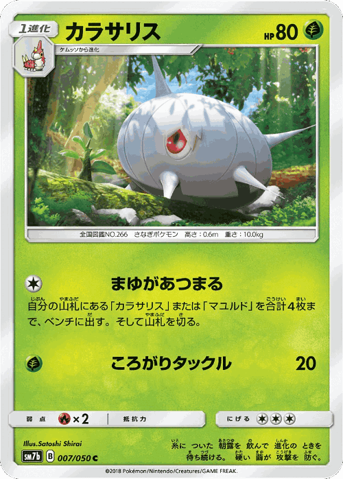 Silcoon Pokémon TCG card art