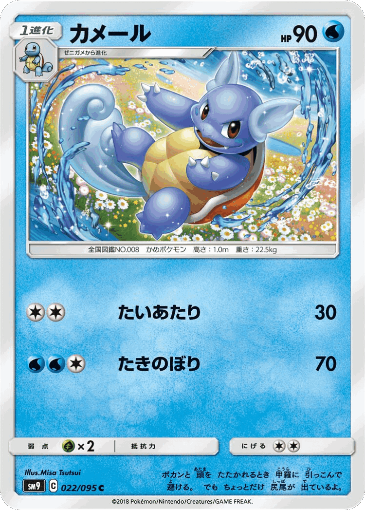 Wartortle #22 from Tag Bolt - Common - Illustrated by Misa Tsutsui