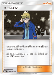 Molayne Full Metal Wall card