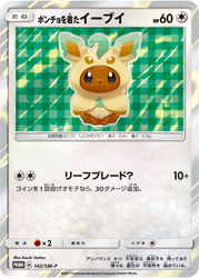 Poncho-wearing Eevee card art