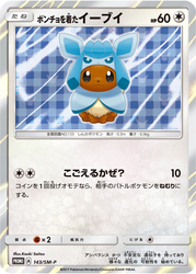 Poncho-wearing Eevee card art