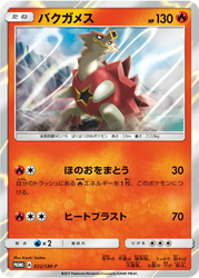 Turtonator Pokémon TCG card art