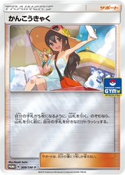 Sightseer Sun & Moon Promos card