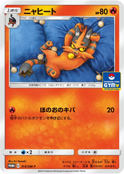 Torracat Sun & Moon Promos card