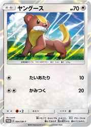 Yungoos Pokémon TCG card art