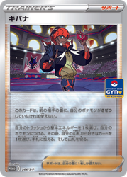 Raihan Sword & Shield Promos card