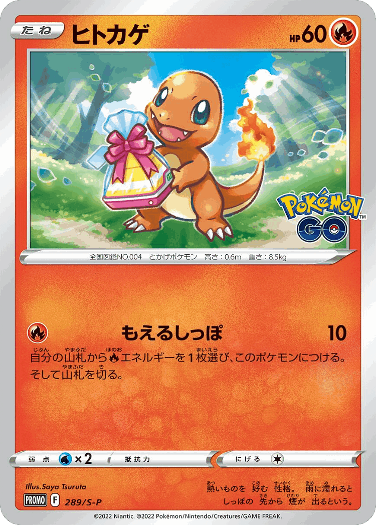 Charmander #289 from Sword & Shield Promos - Promo - Illustrated by Saya Tsuruta