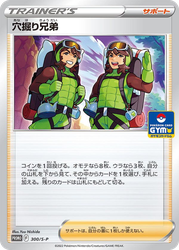 Digging Duo Sword & Shield Promos card