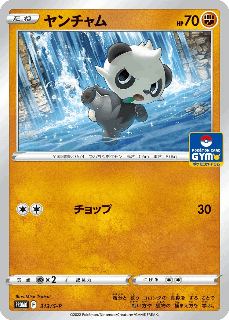 Pancham #313 from Sword & Shield Promos - Promo - Illustrated by Misa Tsutsui
