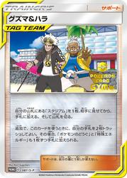 Guzma & Hala Sword & Shield Promos card