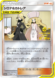 Cynthia & Caitlin Sword & Shield Promos card