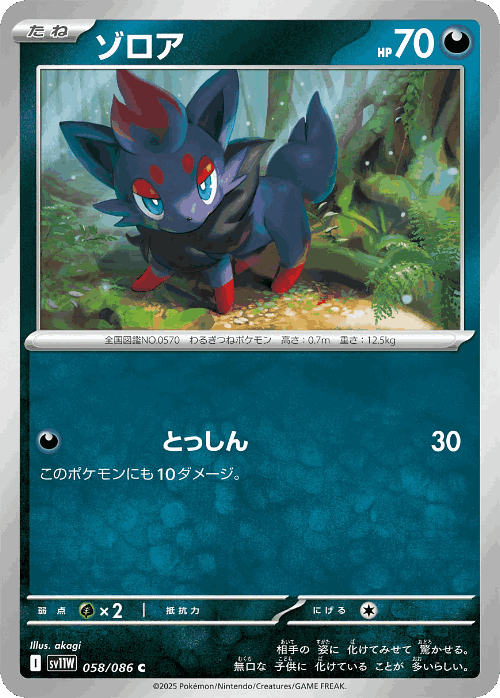 ゾロア 58, ホワイトフレア