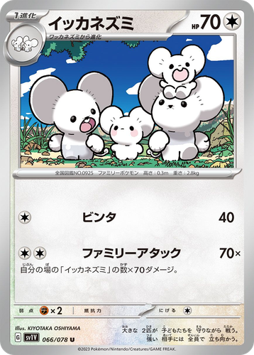 Maushold 66, Violet ex