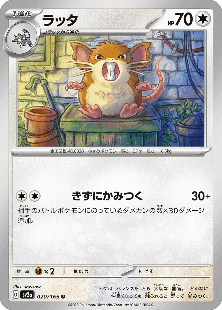 Raticate #20 from Pokémon Card 151 - Uncommon - Illustrated by sowsow