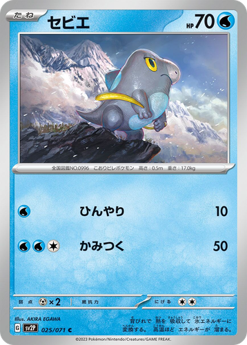 セビエ 25, Snow Hazard