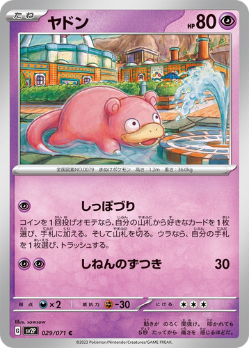 Slowpoke 29, Snow Hazard