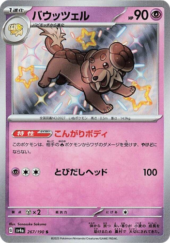 Dachsbun 267, Shiny Treasure ex