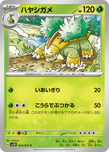 Grotle Pokémon TCG card art