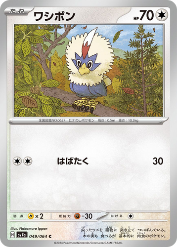 Rufflet 49, Paradise Dragona