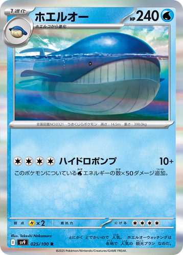 Wailord 25, Battle Partners