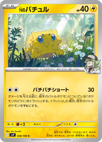 N's Joltik 28, Battle Partners