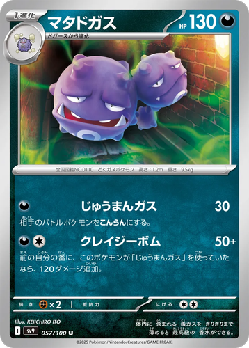 Weezing 57, Battle Partners