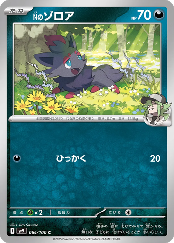 N's Zorua 60, Battle Partners
