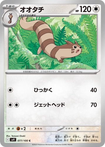 Furret 77, Battle Partners