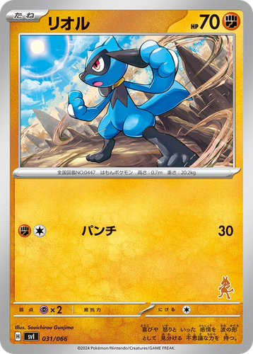 Riolu 31, Battle Academy