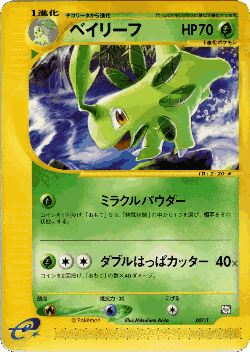 Bayleef Pokémon TCG card art
