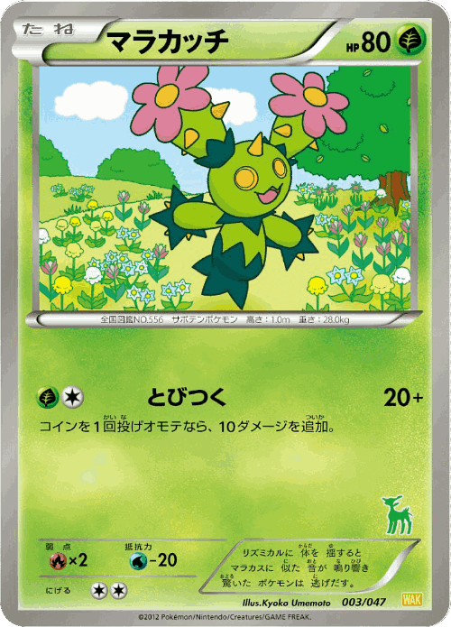 Maractus Pokémon TCG card art