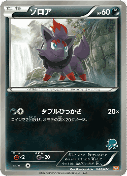 Zorua 34, Everyone's Exciting Battle