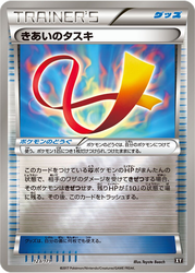 Focus Sash The Best of XY card