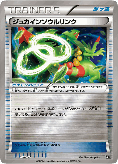 Sceptile Spirit Link 130, The Best of XY