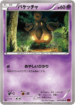 Pumpkaboo 27, Collection Y